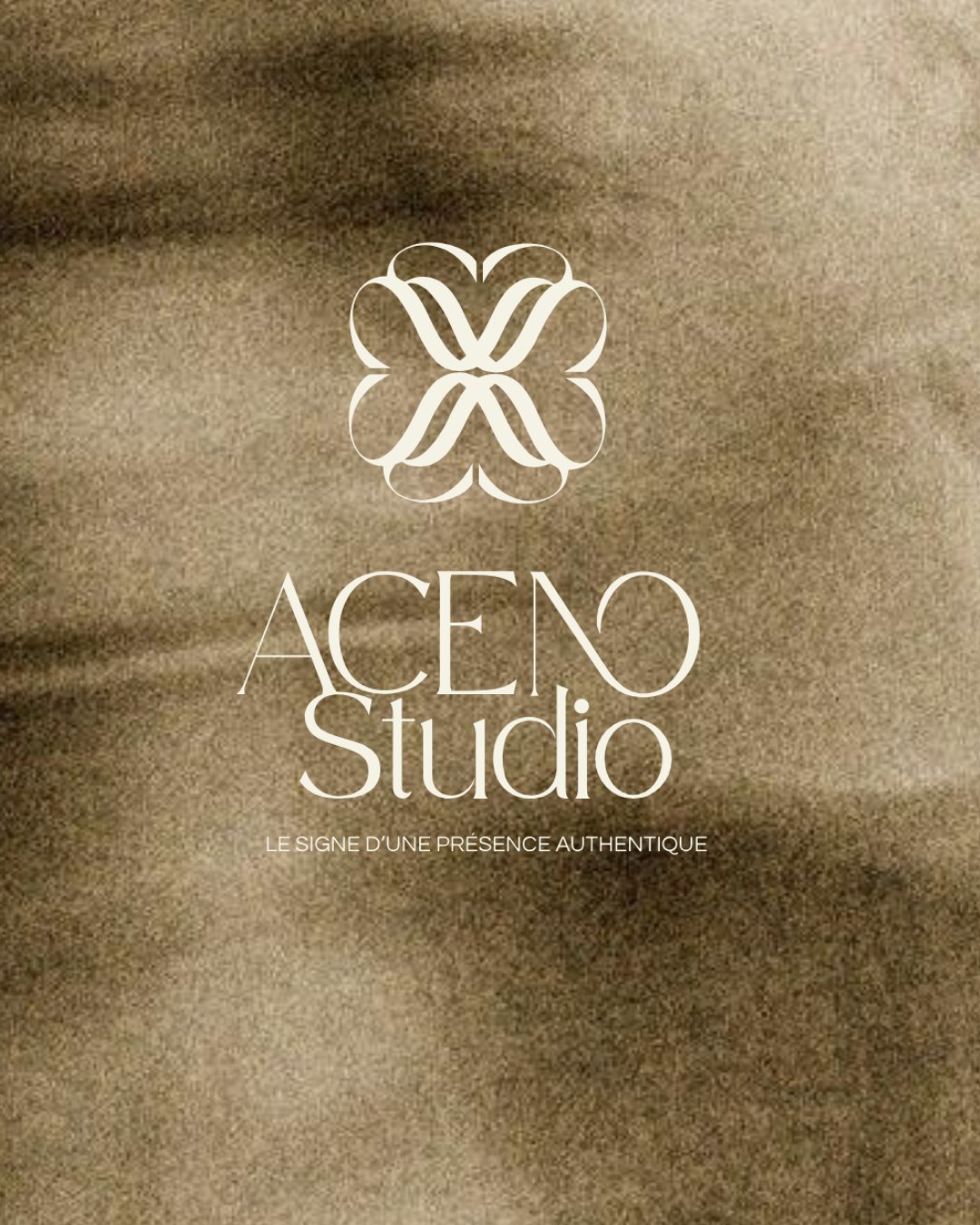 Aceno Studio mockup 6
