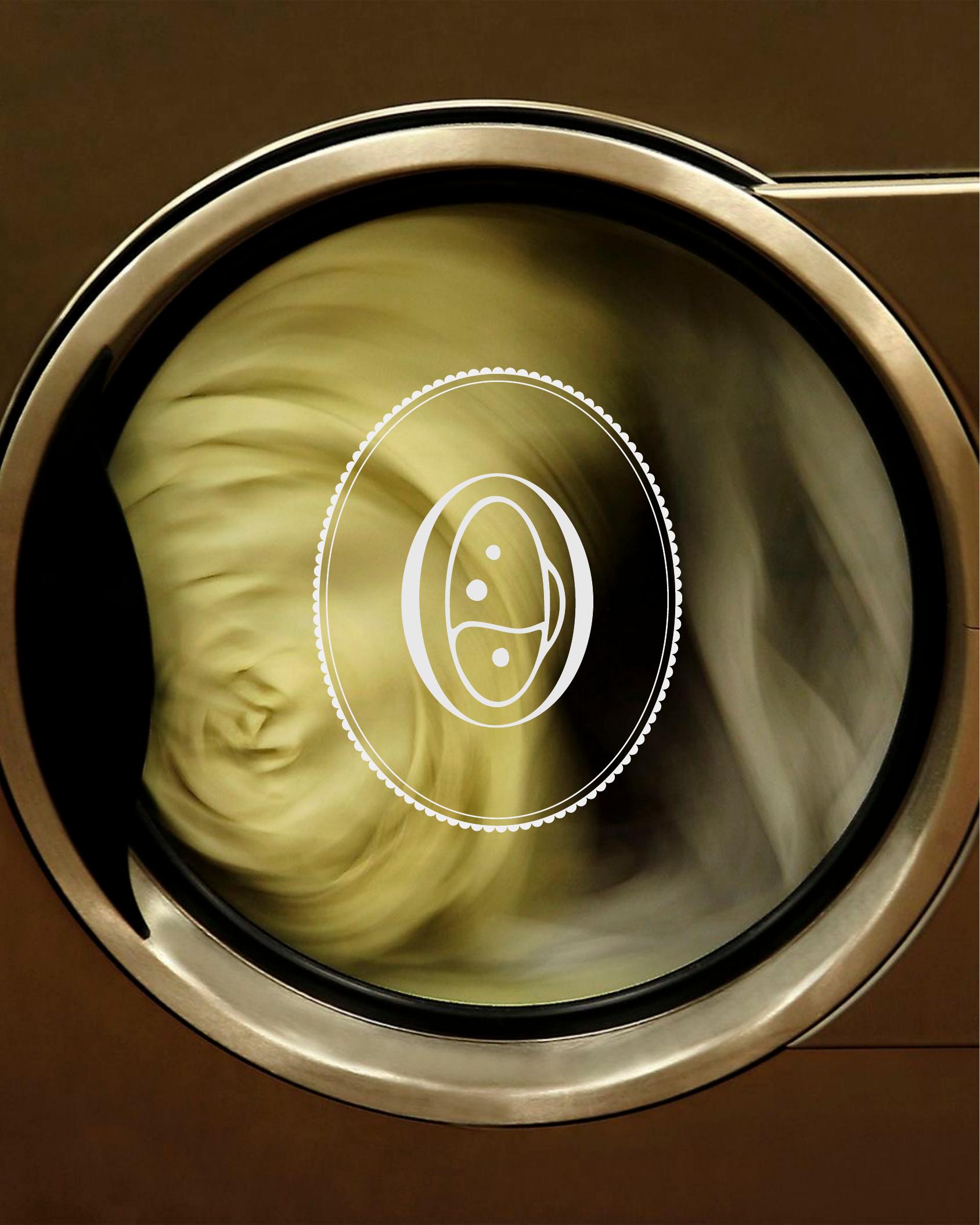 La Barboteuse — identité visuelle