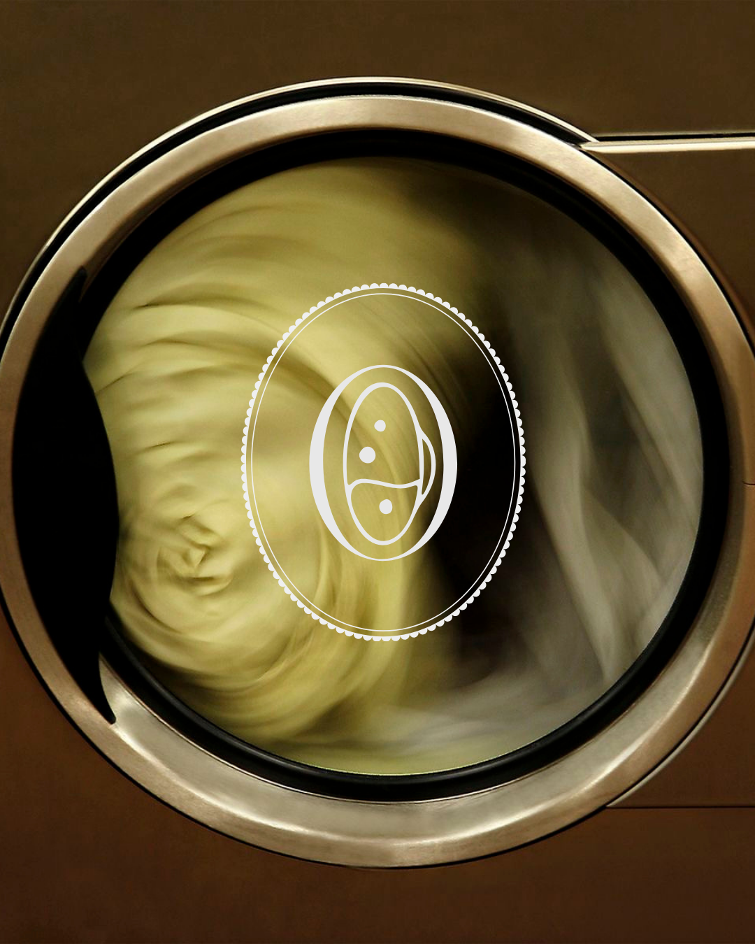 La Barboteuse — identité visuelle