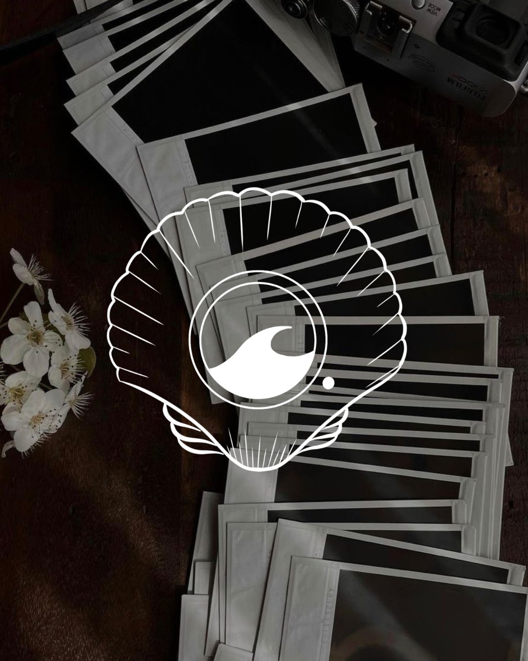 Flash sur la Côte — polaroids et coquillage
