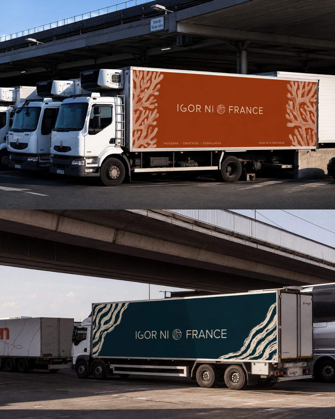 Igor NI France — visuel 8