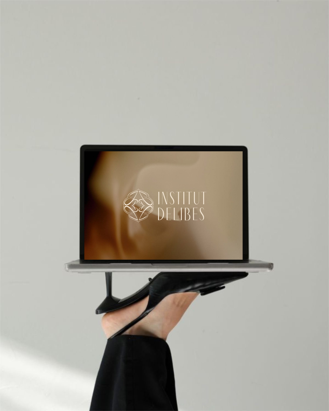 Institut Delibes — identité digitale sur ordinateur