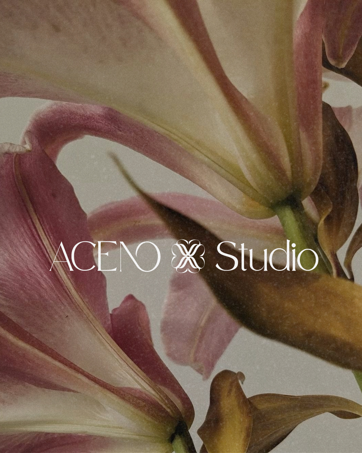 Aceno Studio — identité visuelle