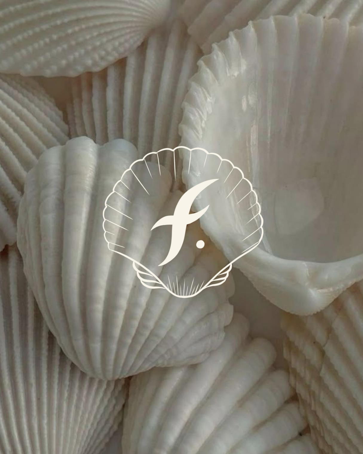 Flash sur la Côte — identité visuelle