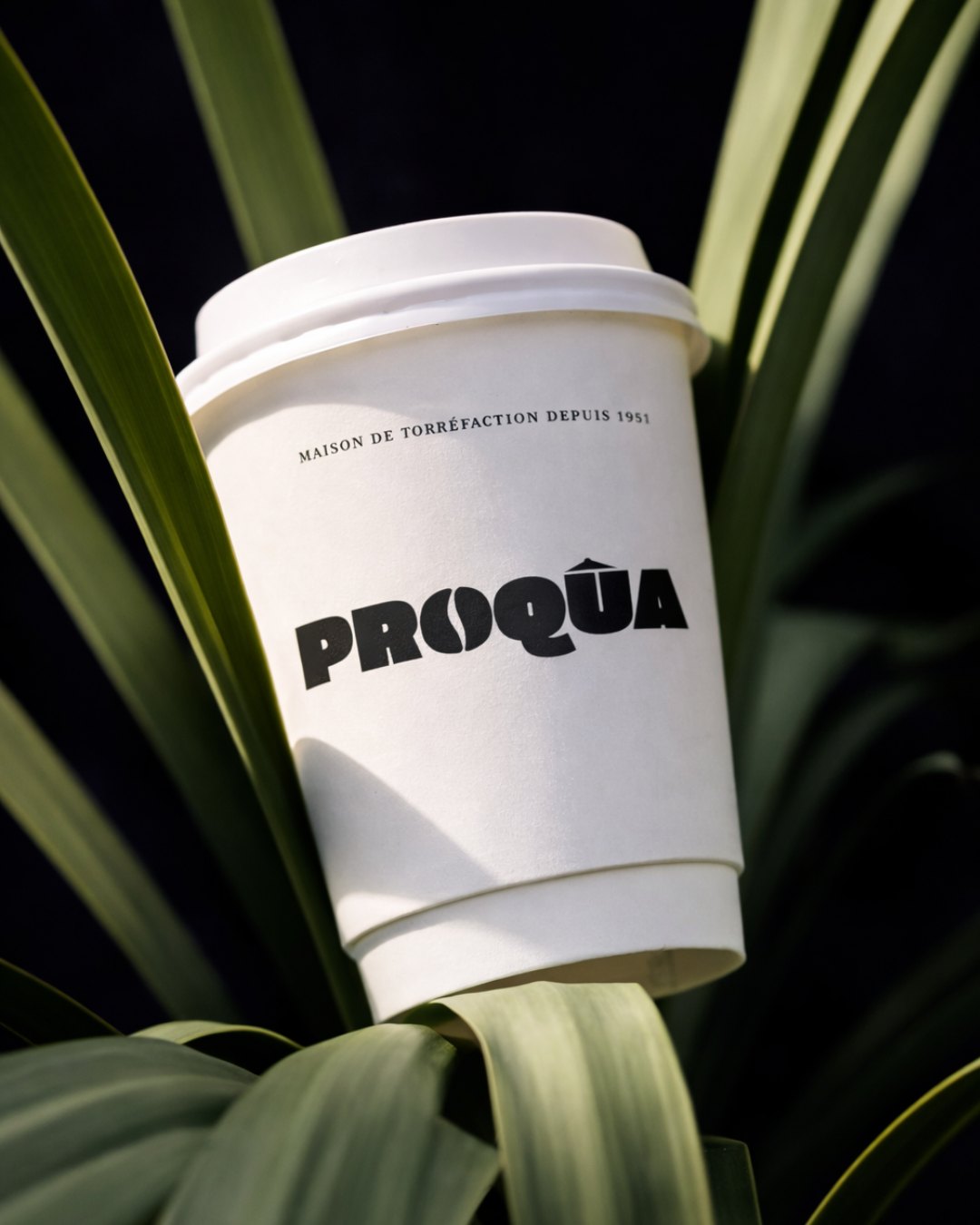 Proqua mockup 2